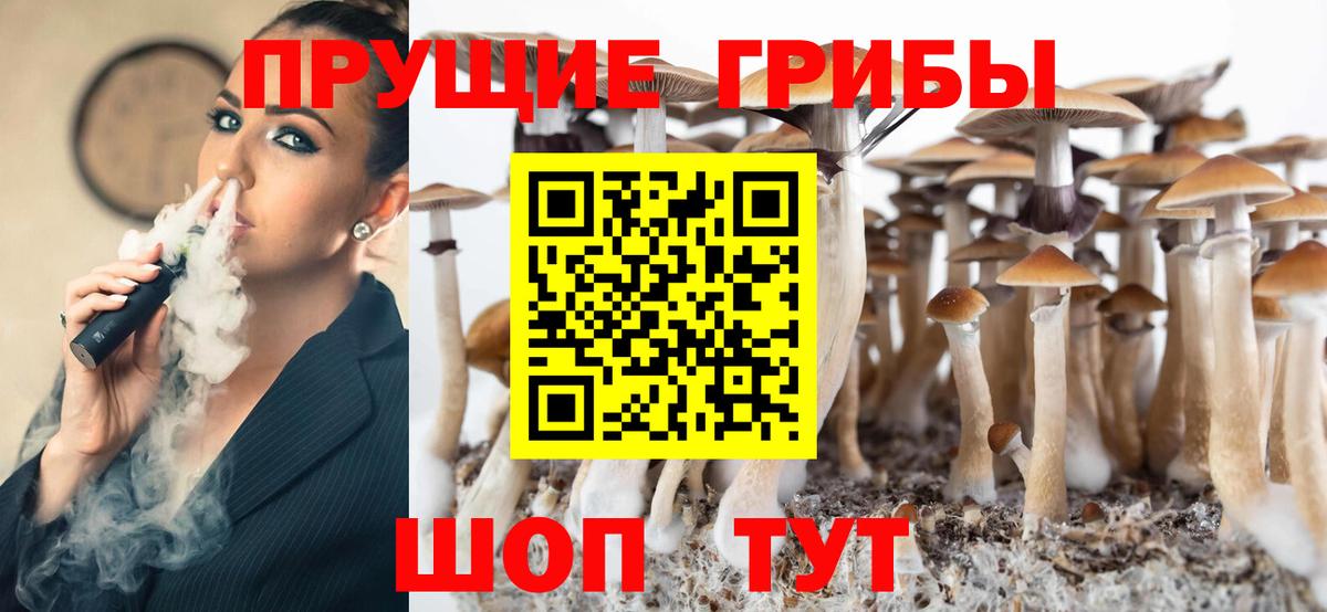 Псилоцибиновые грибы MAGIC MUSHROOMS Вольск