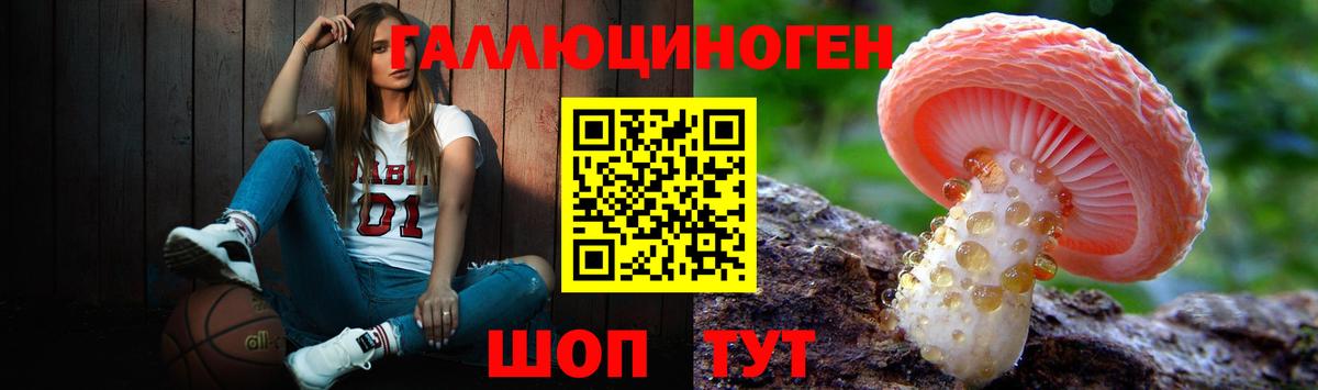 Вольск  Галлюциногенные грибы мухоморы  Вход с VPN 